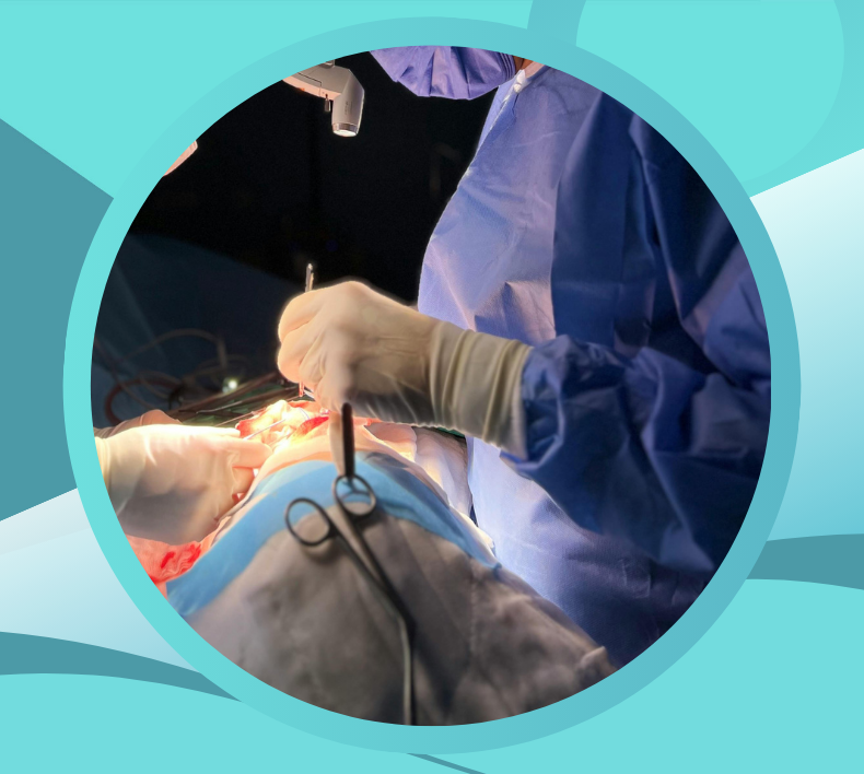 Critical Limb & DVT Management